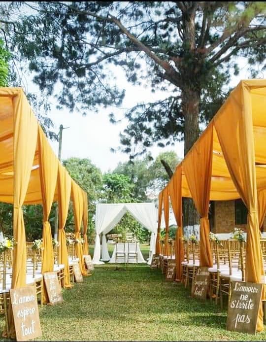 Allée de mariage bordée de drapés dorés et de chaises sur la pelouse
