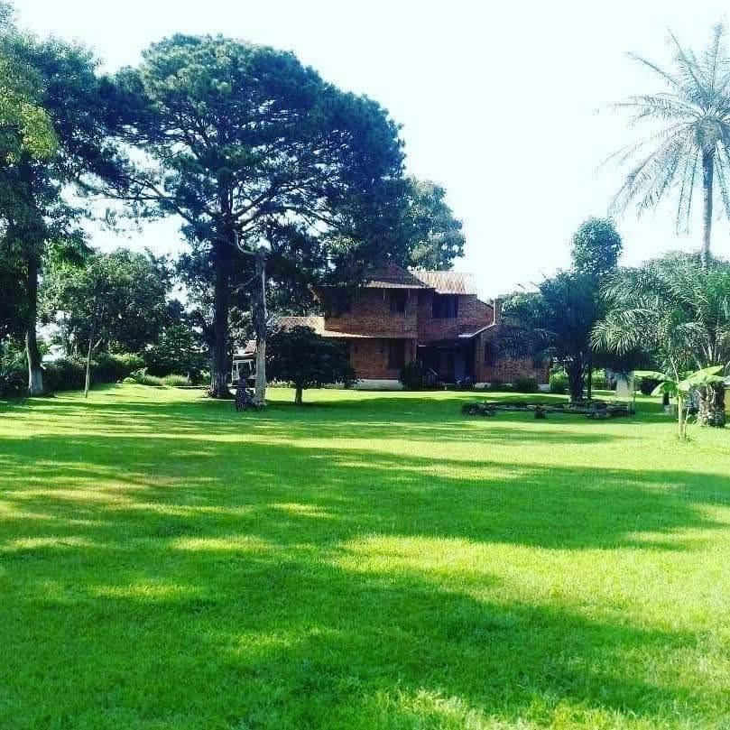 Vaste pelouse verdoyante et arbres du Clos des Roses à Yaoundé