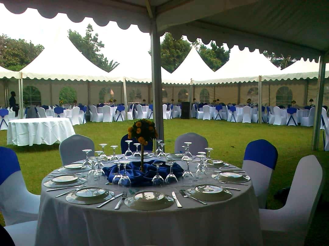 Réception sous tente avec tables dressées et housses de chaises bleu et blanc